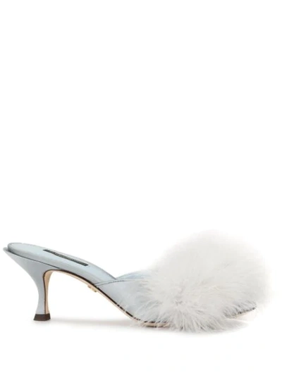 Dolce & Gabbana Keira Feather-embellished Satin Mules In Blue