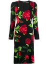 DOLCE & GABBANA ROSE PRINT SHEAT DRESS