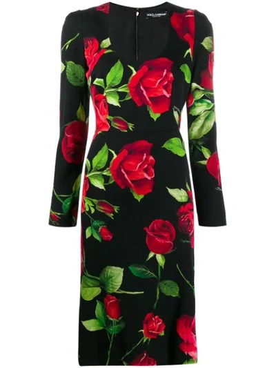 Dolce & Gabbana Rose Print Sheat Dress In Black