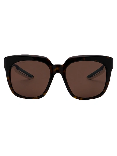 Balenciaga Sunglasses In Havana Blue Brown