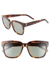 Saint Laurent Women's Square Sunglasses, 54mm In Havana/ Green