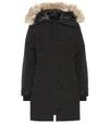 Canada Goose Lorette Black Label Disc Coyote Fur-trim Down Parka In Black