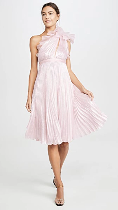 Giambattista Valli Ruffle-trimmed Pleated One-shoulder Silk Dress In Pink