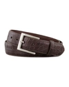 W. Kleinberg Matte Alligator Belt With Interchangeable Buckles In Chocolate