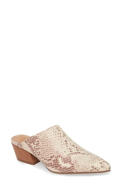 Seychelles Rendezvous Pointed Toe Mule In Natural Snake Print