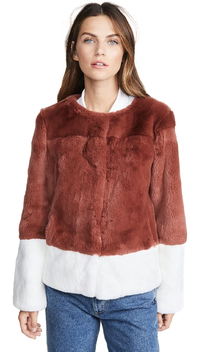 Adrienne Landau Rabbit Jacket In Spice/white