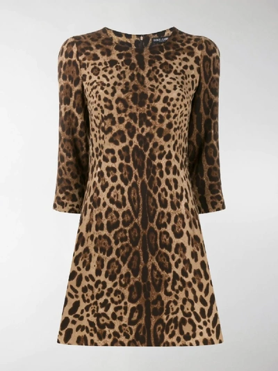 Dolce & Gabbana Leopard Print Cady Crepe Shift Dress In Neutrals