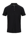 Daniele Fiesoli Polo Shirts In Black
