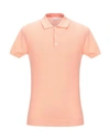 Salmon Pink