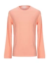 Salmon Pink