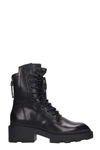 ASH MADNESS COMBAT BOOTS IN BLACK LEATHER,11065101