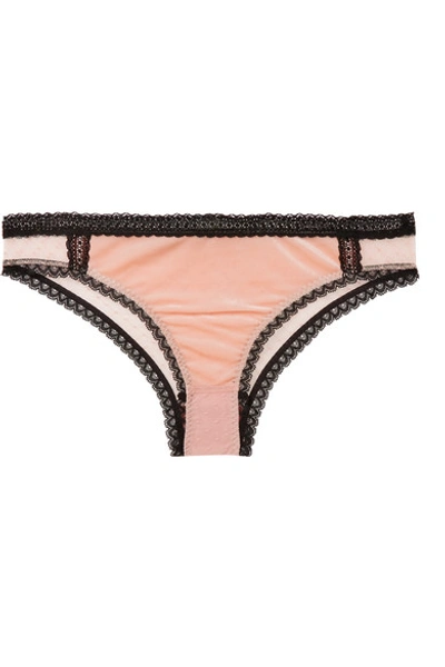 Stella Mccartney Ally Indulging Lace-trimmed Stretch-velvet And Point D'esprit Tulle Briefs In Blush