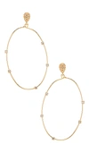 Ettika Delicate Crystal Large Oval Hoop Women's Earrings In Gold