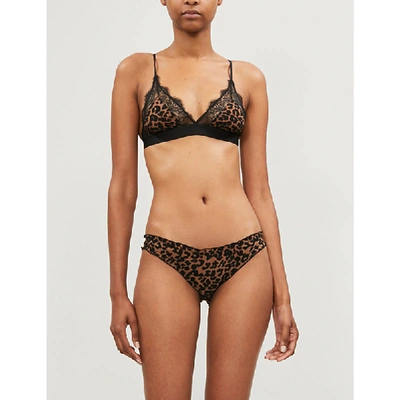 Love Stories Love Lace Stretch-jersey And Lace Bralette In Leopard