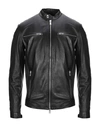 DONDUP Leather jacket,41925869GF 4