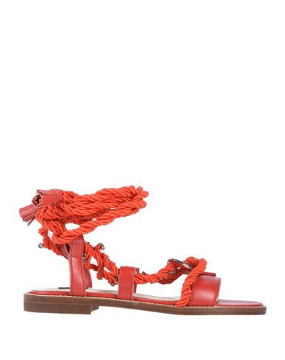 Pinko Sandals In Red
