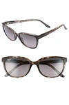 Maui Jim Honi 54mm Polarized Cat Eye Sunglasses - Grey Tortoise Stripe In Grey Tortoise/grey Polar