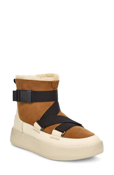 Ankle Boots Ugg Boom Buckle Boot Pink Classic Boom Buckle Boot