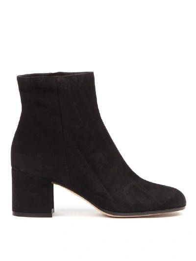 Gianvito Rossi Block Heel Ankle Boots With Suede Finish In Black