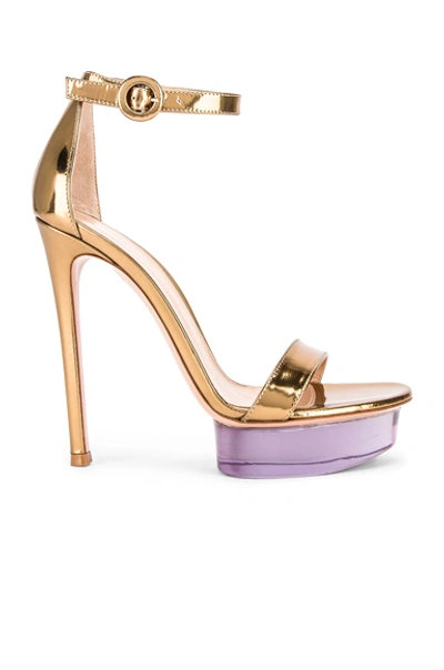 Gianvito Rossi Clear Platform Ankle Strap Sandal In Gold