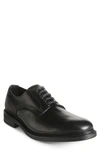 ALLEN EDMONDS CYRUS PLAIN TOE DERBY,2752