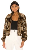 ASTR FAUX FUR REMY JACKET,ASTR-WO14