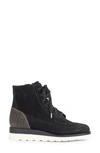 The Office Of Angela Scott Mr. Harrison Wing-tip Boots In Black