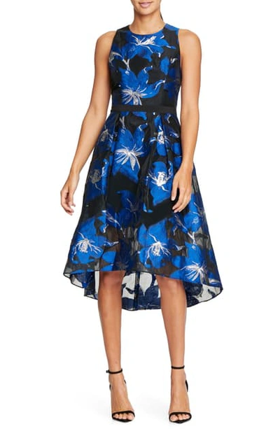 Halston Heritage Floral Fil Coupe Fit & Flare Dress In Royal Blue/ Silver