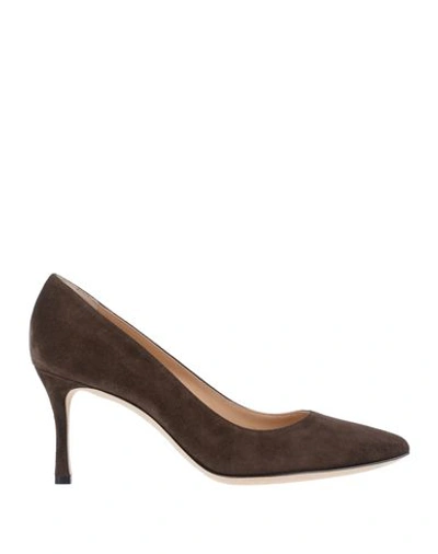 Sergio Rossi Pumps In Dark Brown