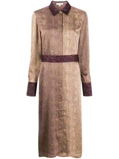 Joie Christabella Snake Print Long Sleeve Shirtdress In Brown