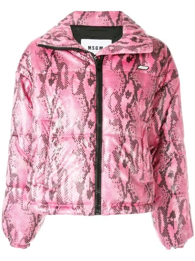 Msgm Cropped Python Print Down Jacket In Pink