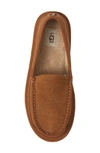 Ugg Dex Loafers Men's Shoes In Chestnut