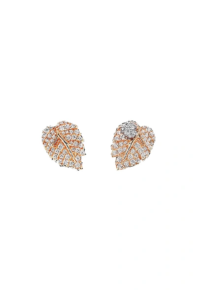 Anabela Chan Rose Leaf Ear Studs In Not Applicable