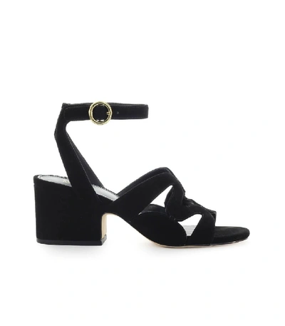 Michael Kors Annalee Mid Black Suede Sandal