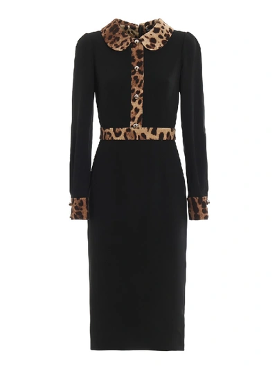 Dolce & Gabbana Leopard Trim Long Sleeve Sheath Dress In Black