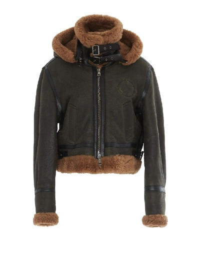 Chloé Brown And Green Shearling Aviator Jacket In Black