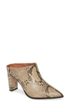 Alias Mae Rue Mule In Beige Snake Print Leather