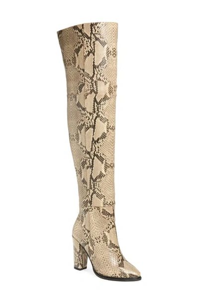 Alias Mae Alla Over The Knee Boot In Beige Snake Print Leather