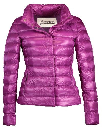 Herno Classic Nylon Fitted Jacket In Purple