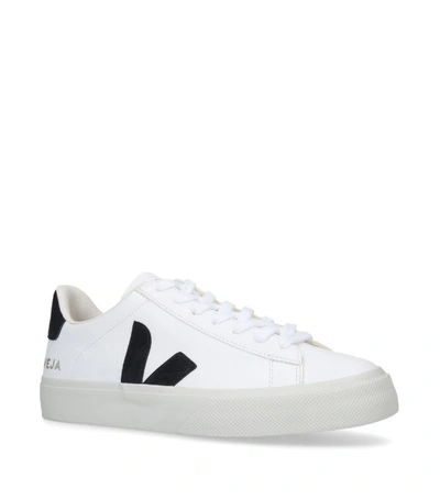 Veja Campo Sneakers In White
