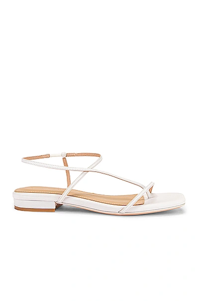 Studio Amelia 10mm Leather Thong Sandals In White