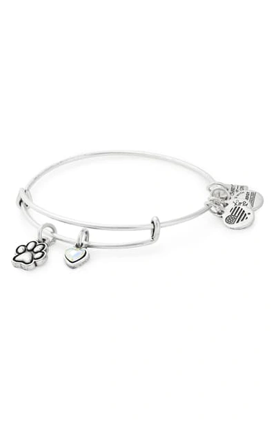 Alex And Ani Charity By Design Paw Print Duo Charm Expandable Wire Bangle In Silver