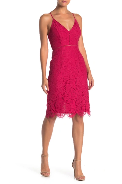 Astr Lace V-neck Sheath Dress In Persian Rd