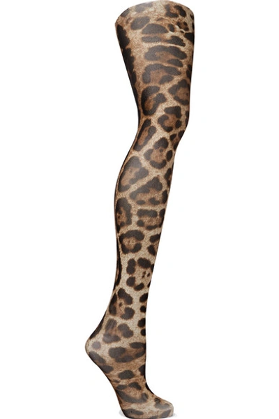 Dolce & Gabbana Leopard-print Tulle Tights In Leopard Print