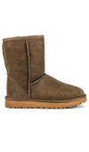 Ugg Landry Stretch Suede Booties In Eucalyptus Spray