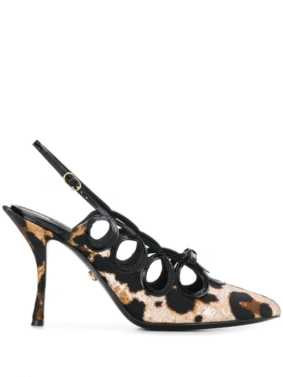 Dolce & Gabbana Leopard Print Slingback Pumps In Black