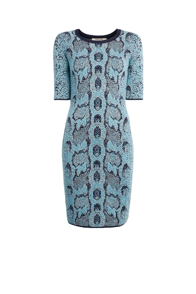 Roberto Cavalli Python Effect Jacquard Knitted Mini Dress In Blue