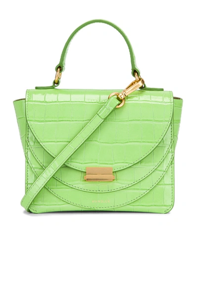 Wandler Luna Mini Croc Embossed Leather  Bag In Toxic