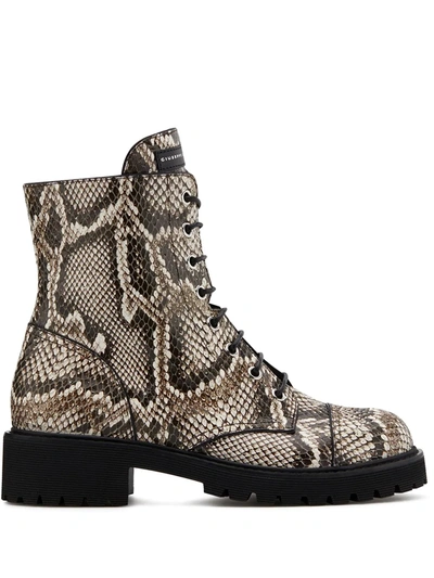 Giuseppe Zanotti Python-embossed Leather Combat Boots In Animal Print