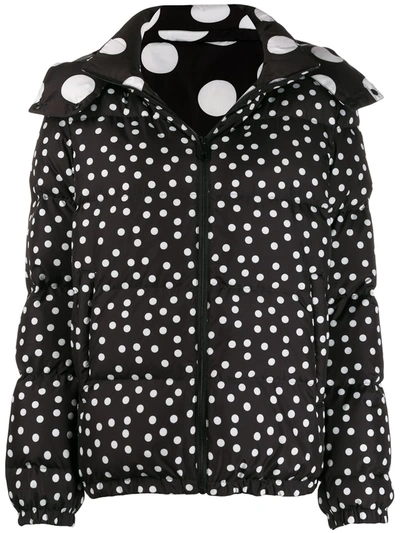 Dolce & Gabbana Reversible Polka Dot Puffer Jacket In Black White